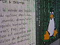 photo No. 11
